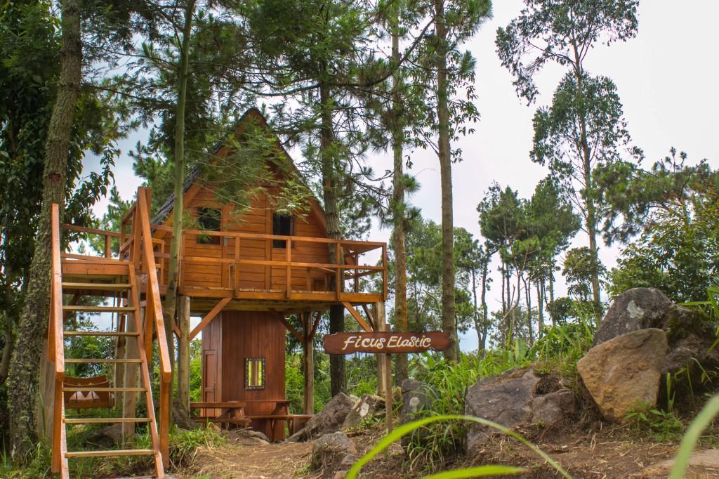 Papandayan Camping Ground Hotel Cileuleuy Exterior photo